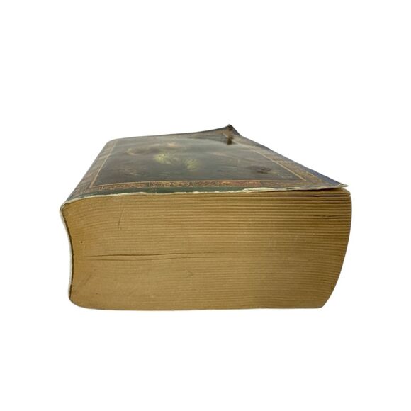 The Hounds of the Morrigan paperback book Pat O'shea fantasy grade 6 - 9 youth - Picture 4 of 7